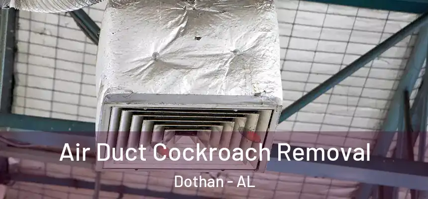 Air Duct Cockroach Removal Dothan - AL