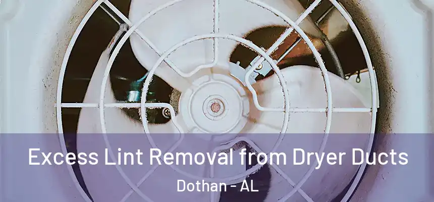 Excess Lint Removal from Dryer Ducts Dothan - AL