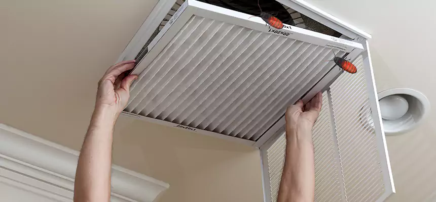 Our Insect Removal from Air Ducts Services in Dothan, AL