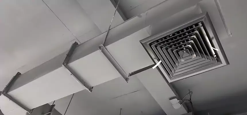 Our Pest Removal From Ducts Services in Dothan, AL