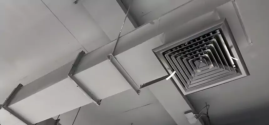 Our Rodent Droppings In Vents Services in Dothan, AL