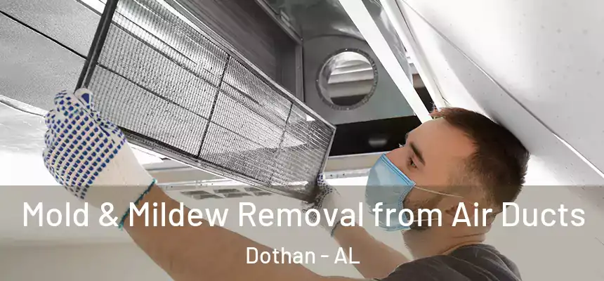 Mold & Mildew Removal from Air Ducts Dothan - AL