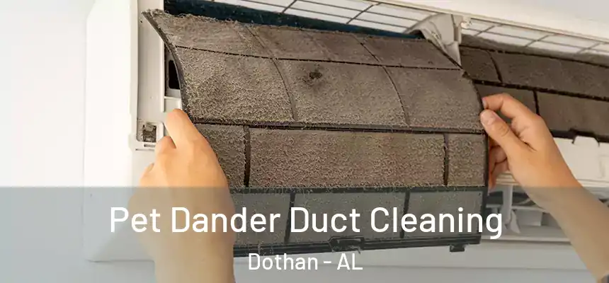 Pet Dander Duct Cleaning Dothan - AL