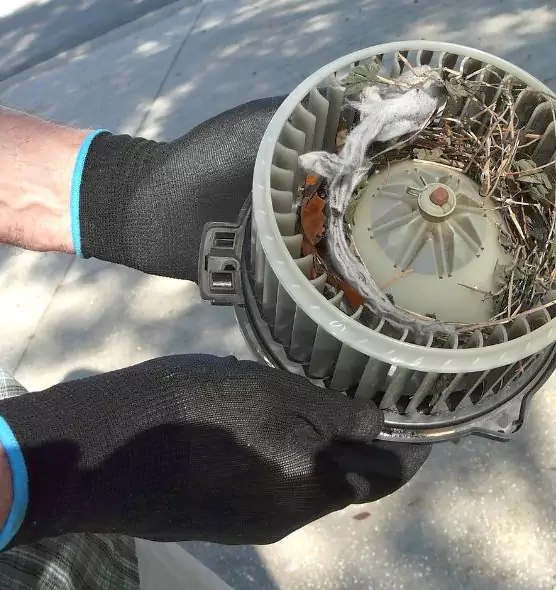 About Air Duct Mice Removal in Dothan, AL