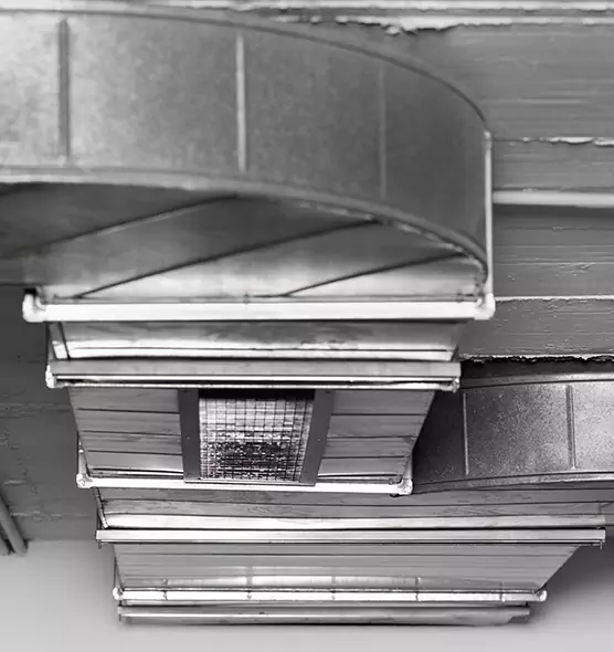 Professional Air Duct Pet Hair Removal in Dothan, AL