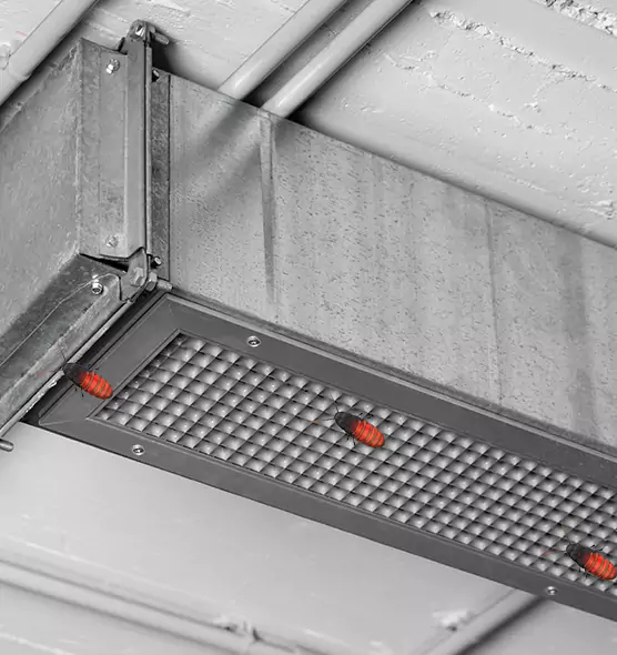 Affordable Insect Removal from Air Ducts in Dothan, AL