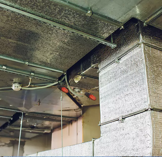 Why Homeowners & Businesses Trust Us in Dothan, AL?