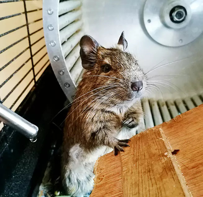 Why Homeowners & Businesses Trust Us Dothan, AL